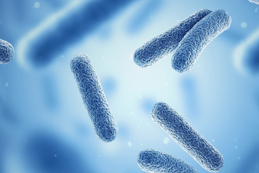 Microbiote intestinal et allergies