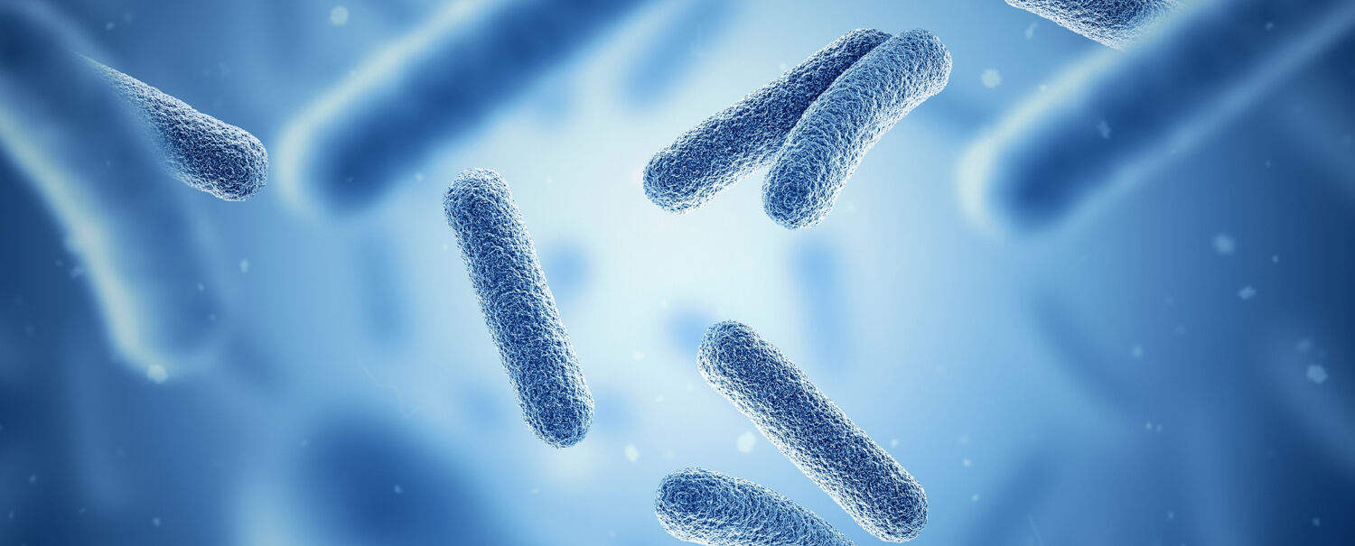 microbiote intestinal